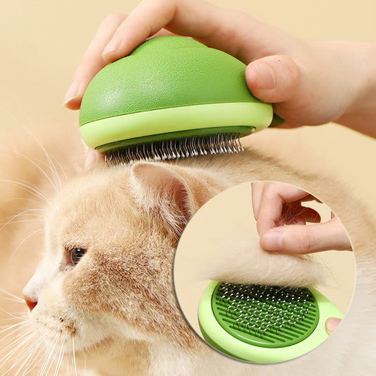 Cat Brush Hair